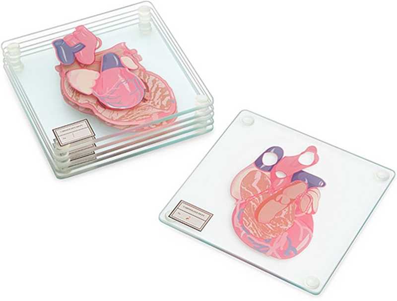 Anatomic Heart Coasters